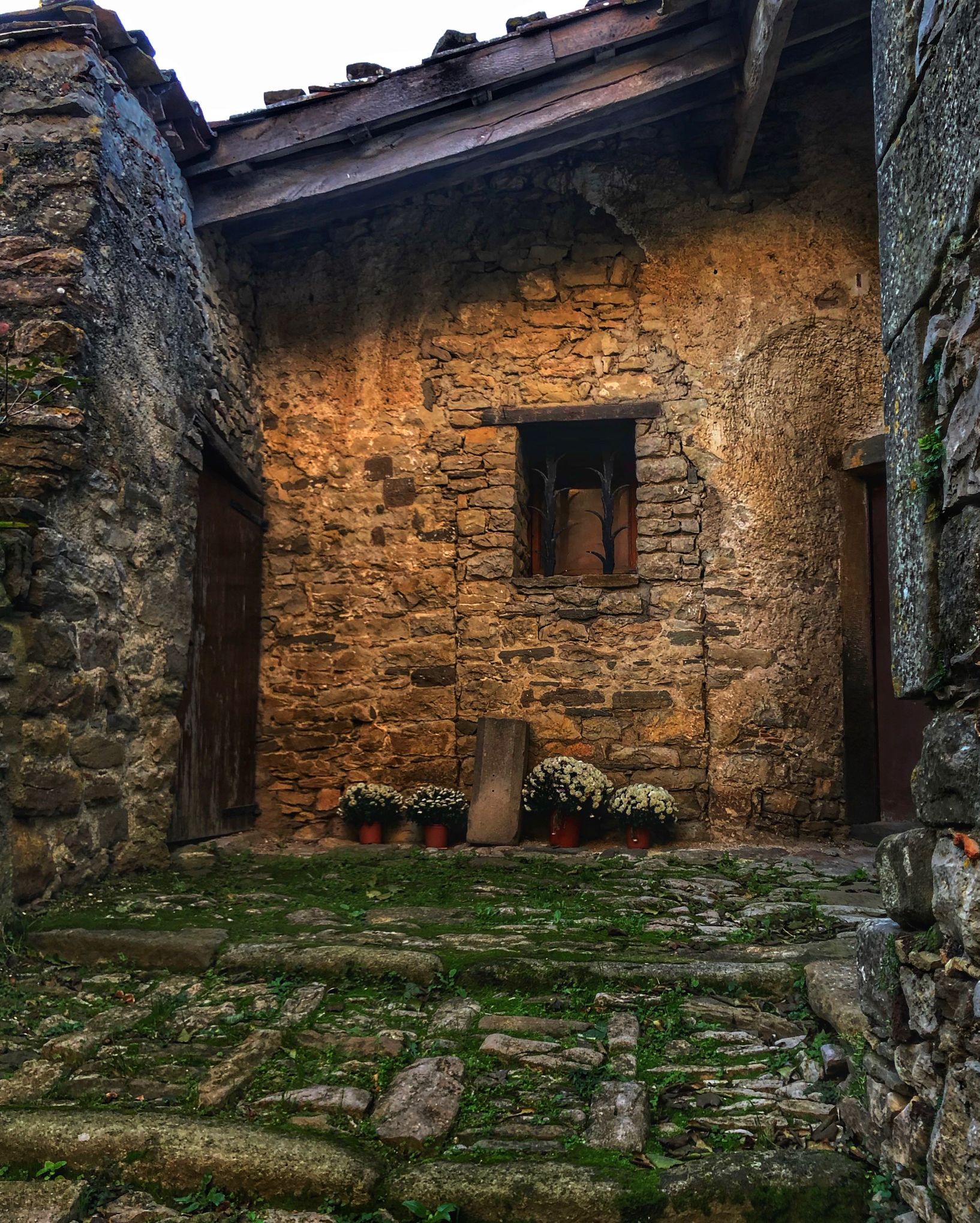 Fred càlid 1